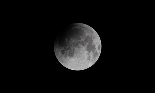 2025年9月8日 部分食中