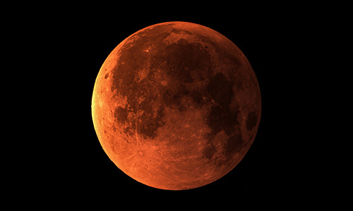 2025年9月8日 部分食中