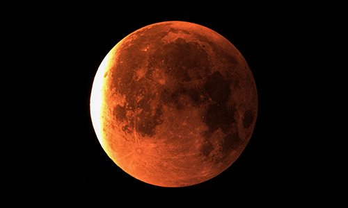 2025年9月8日 部分食中