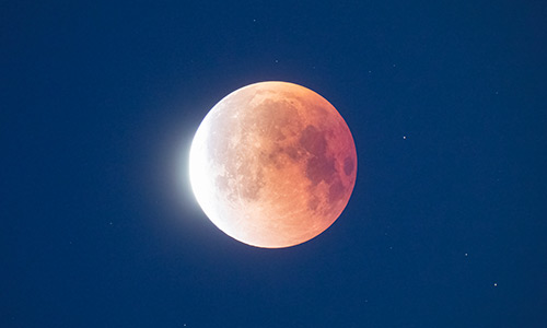 2025年9月8日 部分食中