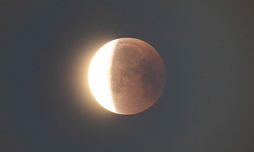 2025年9月8日 部分食中