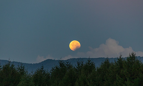 2025年9月8日 月没直前