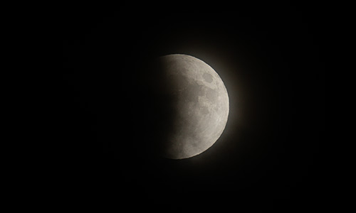 2026年3月3日 19:33 部分食中