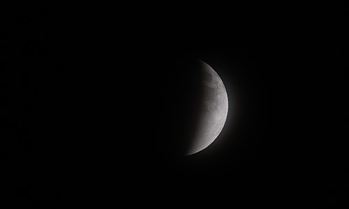 2026年3月3日 19:56 部分食中