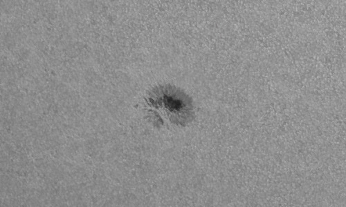 2022年1月9日の黒点（活動領域12925）