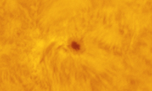 2022年1月9日の活動領域12925