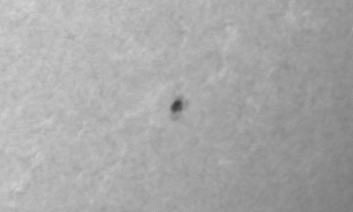 2022年1月19日の黒点（活動領域12927）