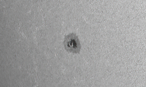 2022年1月22日の黒点（活動領域12934）