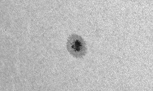 2022年1月23日の黒点（活動領域12934）