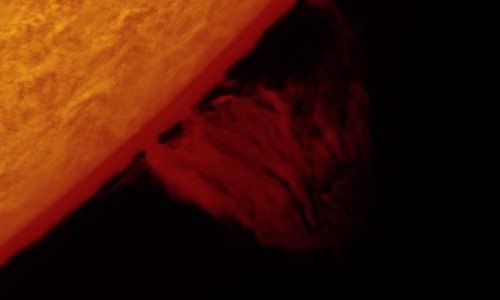 2022年1月24日のプロミネンス