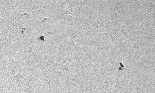 2022年1月27日の黒点（活動領域12935）