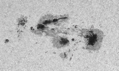 2022年1月29日の黒点（活動領域12936）