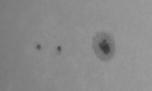 2022年2月2日の黒点（活動領域12939）