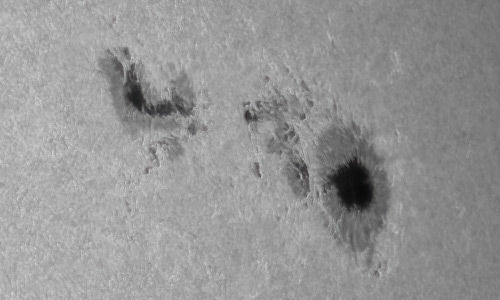 2022年2月3日の黒点（活動領域12936）