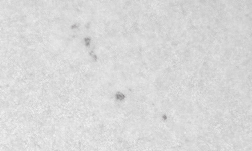 2022年2月23日の黒点（活動領域12953）