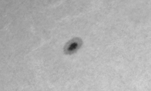 2022年2月23日の黒点（活動領域12954）