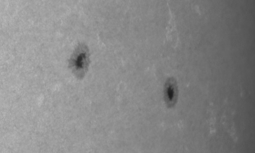 2022年3月3日の黒点（活動領域12954）