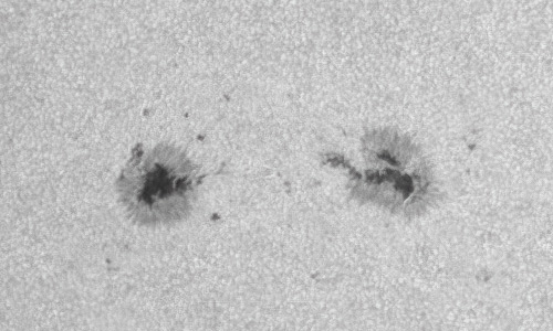 2022年3月3日の黒点（活動領域12957）