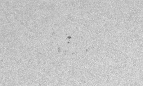 2022年3月3日の黒点（活動領域12958）