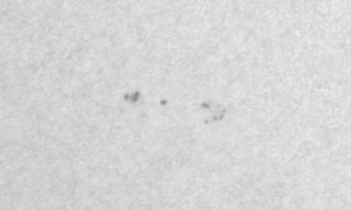 2022年3月20日の黒点（活動領域12972）