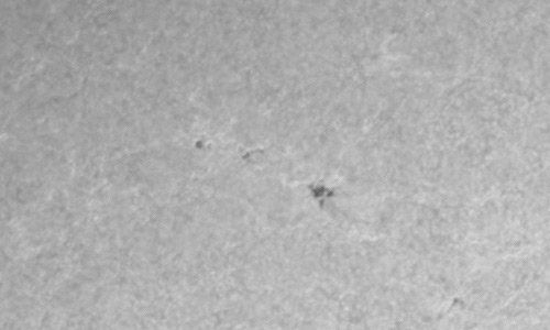 2022年3月21日の黒点（活動領域12973）