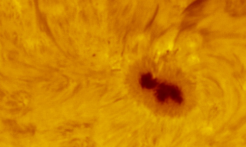 2022年3月29日の活動領域12976