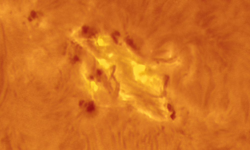 2022年3月29日の活動領域12975