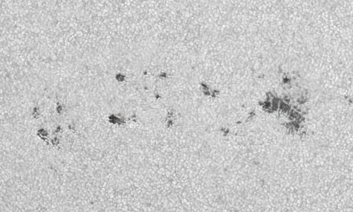 2022年4月3日の黒点（活動領域12981）