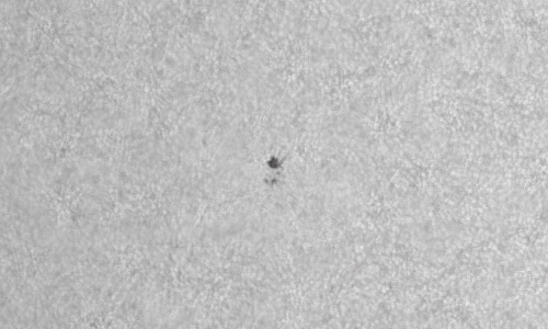 2022年4月3日の黒点（活動領域12982）