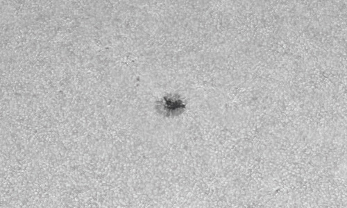 2022年4月4日の黒点（活動領域12983）