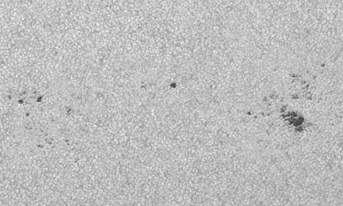 2022年4月5日の黒点（活動領域12981）