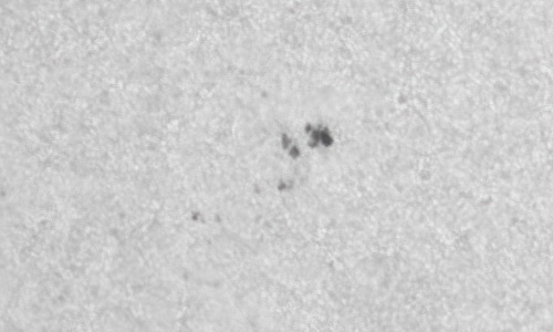 2022年4月8日の黒点（活動領域12985）