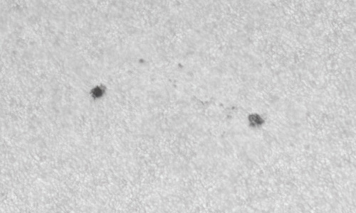 2022年4月16日の黒点（活動領域12990）