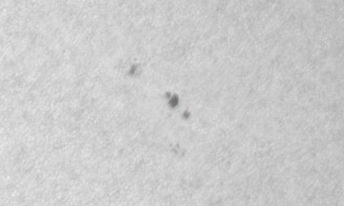 2022年4月19日の黒点（活動領域12990）