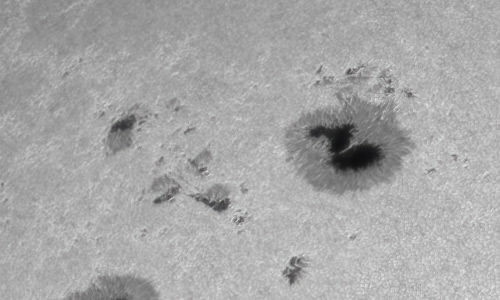 2022年4月19日の黒点（活動領域12993）