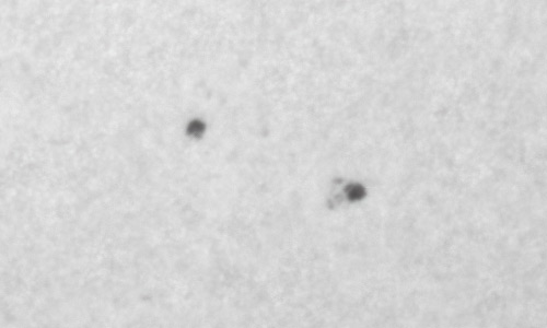 2022年4月22日の黒点（活動領域12991）