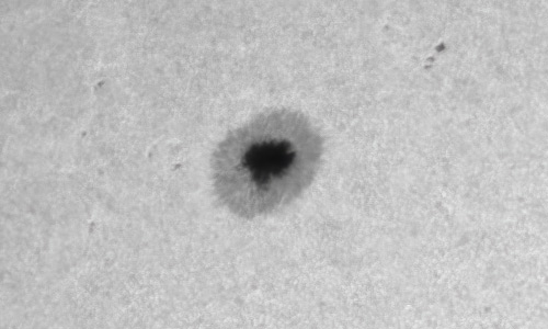 2022年4月22日の黒点（活動領域12995）