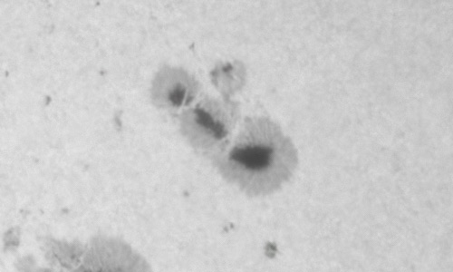 2022年4月24日の黒点（活動領域12993）