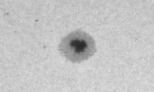 2022年4月24日の黒点（活動領域12995）