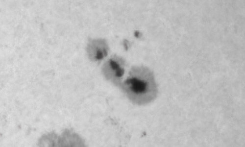 2022年4月25日の黒点（活動領域12993）