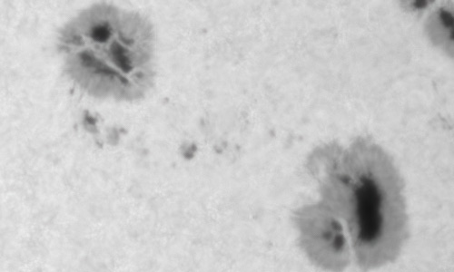 2022年4月25日の黒点（活動領域12994）