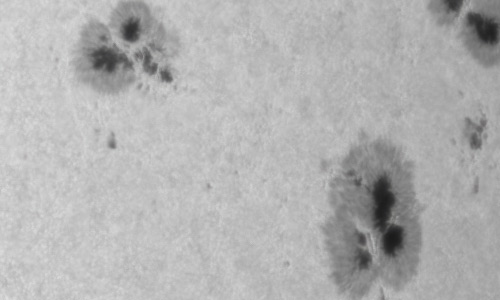 2022年4月26日の黒点（活動領域12994）