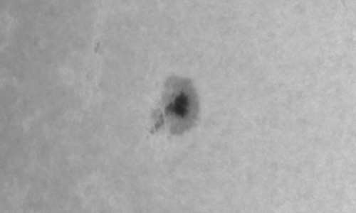 2022年4月26日の黒点（活動領域12999）