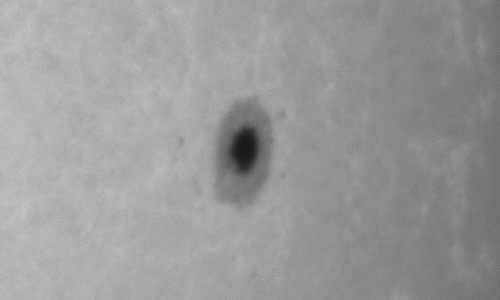 2022年4月29日の黒点（活動領域12995）