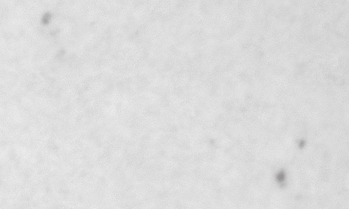 2022年4月29日の黒点（活動領域12997）