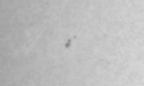 2022年4月29日の黒点（活動領域13000）