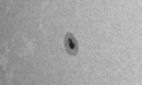 2022年4月29日の黒点（活動領域13001）