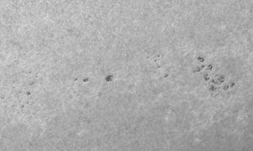 2022年5月14日の黒点（活動領域13006）