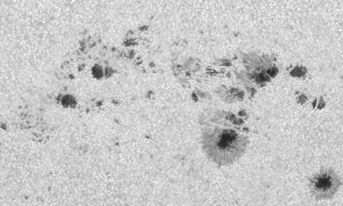 2022年5月15日の黒点（活動領域13007）