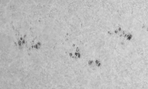 2022年5月16日の黒点（活動領域13010）